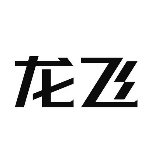 龙飞