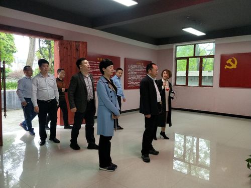 【鸾山镇】株洲市委常委,市委宣传部部长聂方红一行来