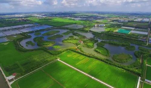 上海市松江区泖港镇田园综合体年内建成,浦南定位乡村