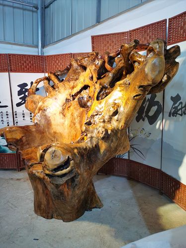 超大天然树根椅子一体树头根雕背椅根雕凳子