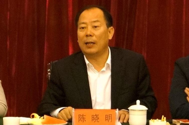 陈晓明