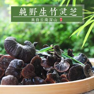 竹灵芝野生500g