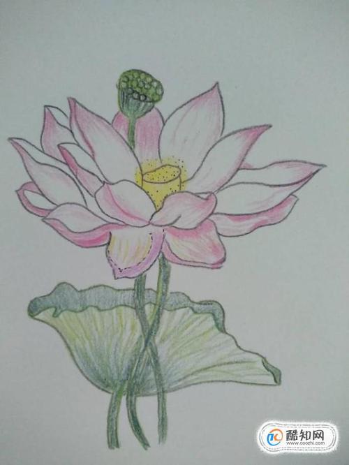 铅笔画萌少女入门教程优质