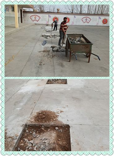 槐树学校春季植树,美化校园