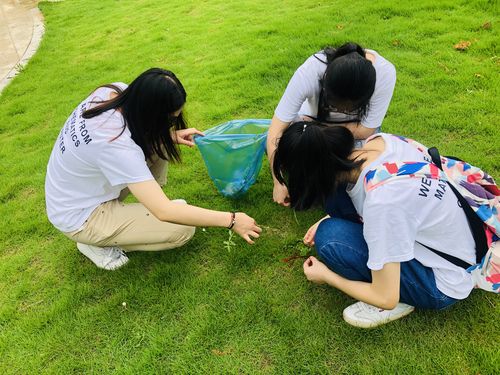 义务劳动 美我校园 点滴做起——数学与计算机学院党总支"七一"系列