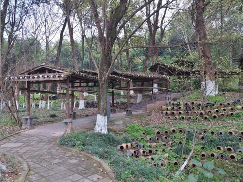 四川美术学院虎溪校区