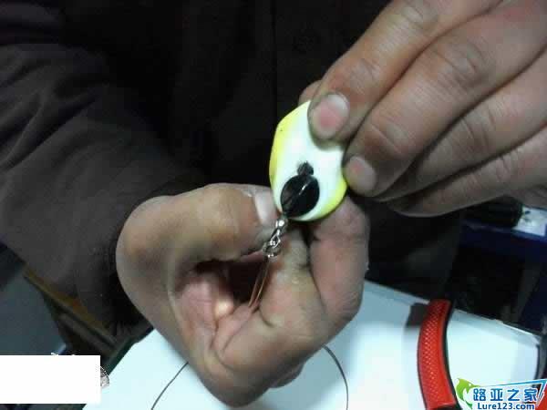 而且是便宜的国产雷蛙哟,柔软的硅胶蛙身和锋利的法国vmc   首先上