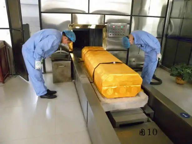 而且在火化炉里面会出现一系列的奇怪事情,甚至会在火化炉醒过来,对于