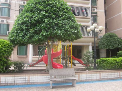 恒福花园出行方便 小区旁边有石门学 石门实