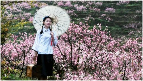 梦入桃花源