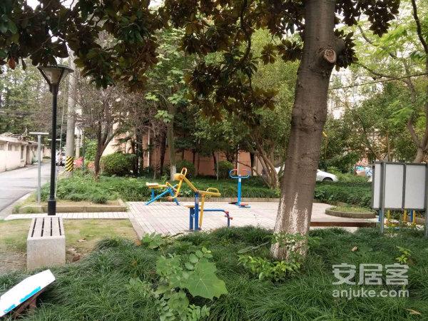 双柏小区,剑川路100弄2-139号-上海双柏小区二手房,租房-上海安居客