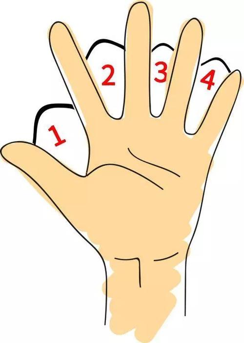 生活中也有很多间隔现象,比如路两旁的路灯,每一个路灯与前