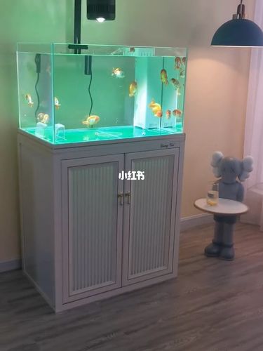 兰寿鱼缸,真好看呀 非常nice_鱼缸_家居家装_家居装饰