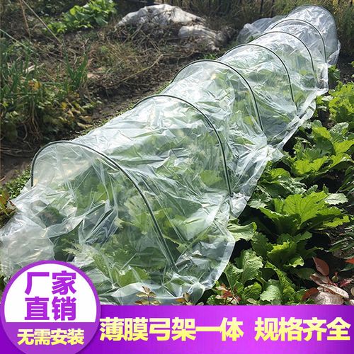 植物防寒保温罩