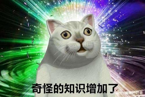 奇怪的知识增加了:游戏审核与运营矛盾,究竟是如何增加的?