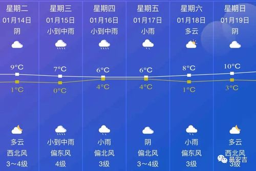 今晨大雾来袭,春运开启第一周天气如何?_安吉
