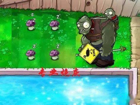 植物大战僵尸:萌新忽视的4种植物,图4不耗阳光,却克制