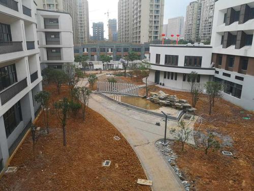 兰溪杭州育才小学工程现况