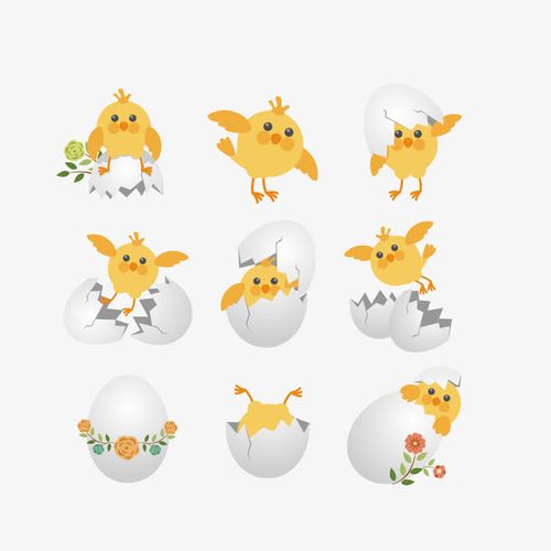 破壳而出的小鸡