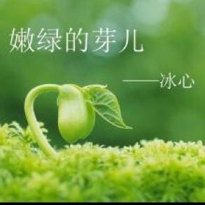 嫩绿的芽儿