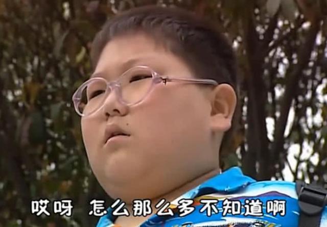 5块钱一个大鸡腿 美食节上很受大家欢迎