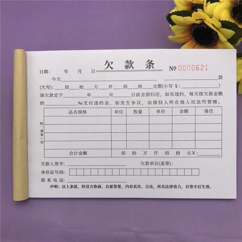 欠条本欠款单欠款条个人通用借条借款单正规借钱借款协议单据