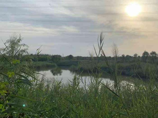 长子营湿地公园-"为啥这个公园大众点评上没有……不.