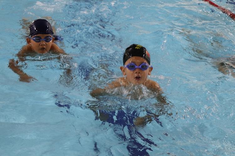 2018年"宇祺杯"首届少年游泳比赛圆满结束!