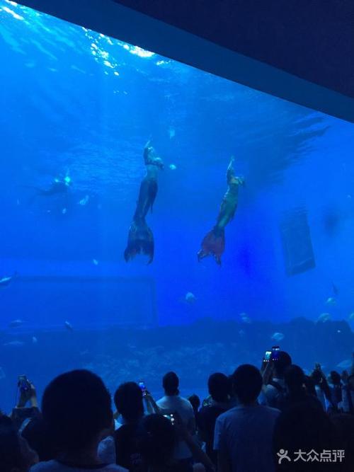 南昌万达海洋乐园图片 - 第88张