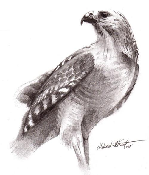 regius超写实素描作品(3)