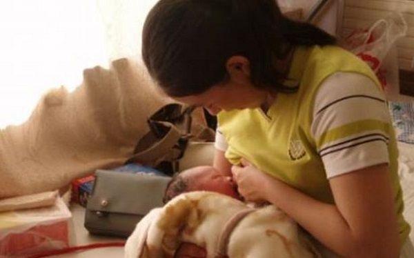 喂奶痛苦是什么因素造成?看完宝宝吃奶的力气,惊叹"为