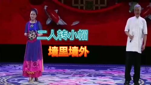 传统二人转小帽《墙里墙外》选段,演员:赵本山,唱的是