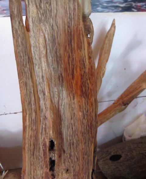 越南沉香,天然沉香,沉香,沉香原木,原料,沉香摆件,熏香