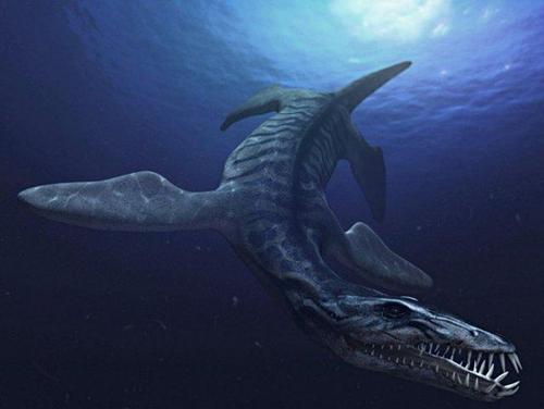 滑齿龙拥有锋利的牙齿