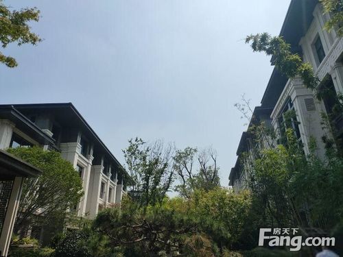 建业海马九如府 联排别墅