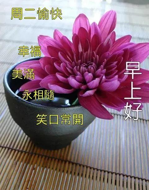 2021年9月7日星期二白露漂亮早上好问候动态表情图片带字 周二最美