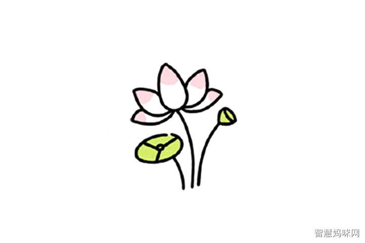 可爱小花荷花简笔画教程