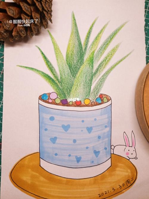 芦荟 彩铅 儿童画_彩铅_儿童画_芦荟_手绘_彩色铅笔_彩铅手绘_文化