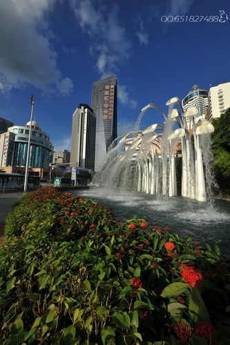 深圳 街头