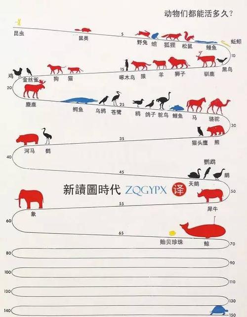 动物的平均寿命……看到最后震惊了!