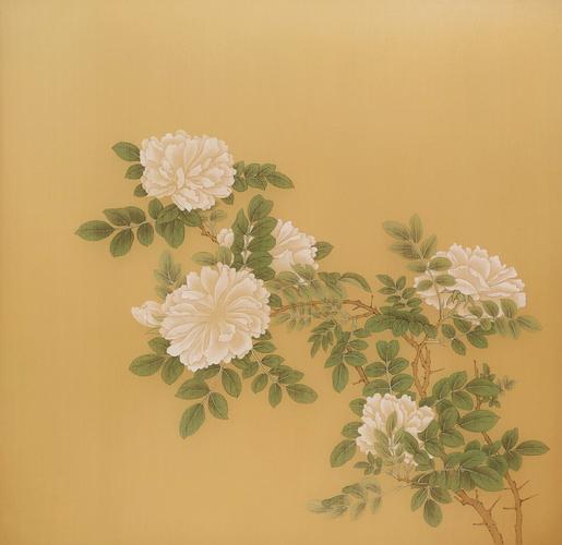 白蔷薇绘制步骤