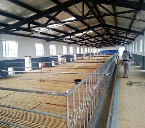 规模化猪场猪舍设计建设,.商品大图