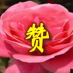 重返黑龙江北安长水河农场