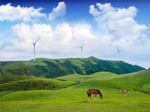 国庆攻略已备好去仰天湖大草原撒欢吧