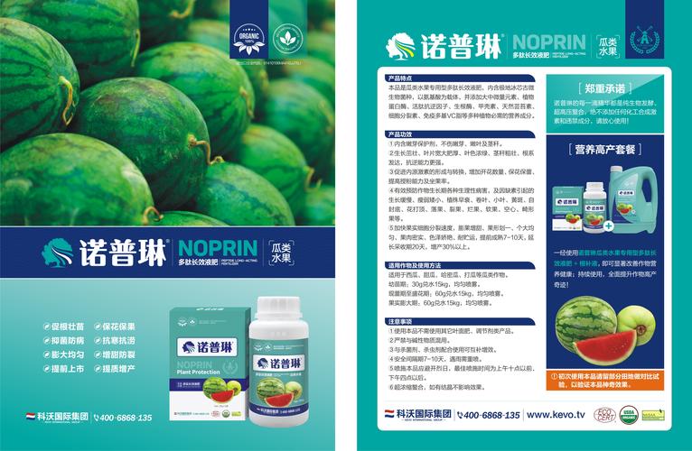 西瓜疫病怎么防治