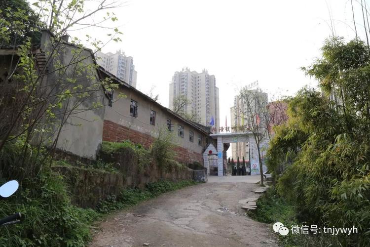 潼南小学旧貌(原哨楼小学)