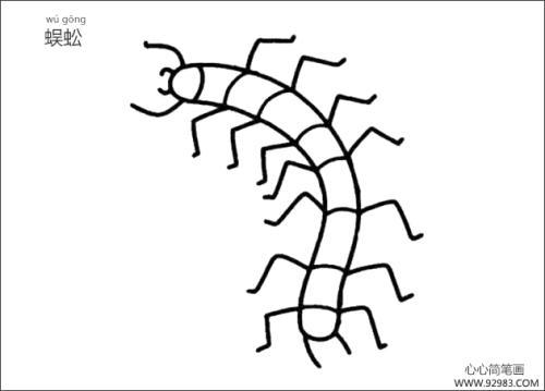 蜈蚣颜色简笔画