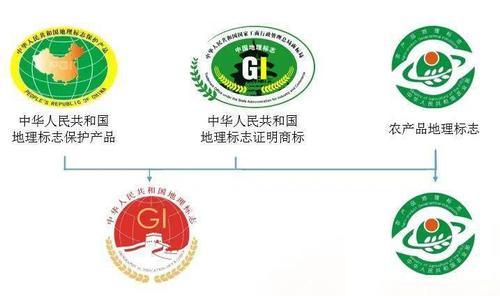 食品安全直通车第67期龙口粉丝产地不在龙口小心地理标志产品被冒充