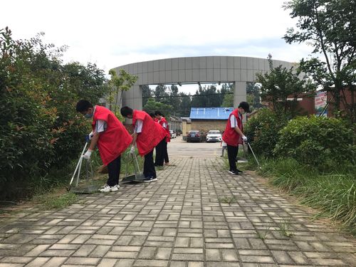 东岳中学2019级10班暑期社会实践活动纪实