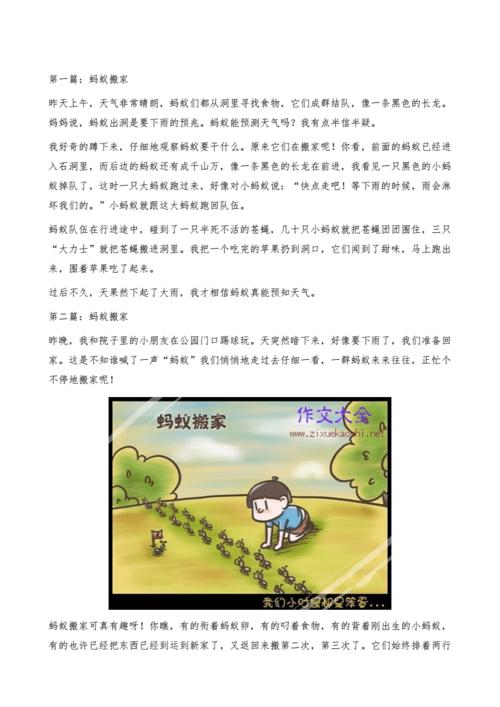 三年级蚂蚁搬家作文350字[小学生优秀作文].docx 3页